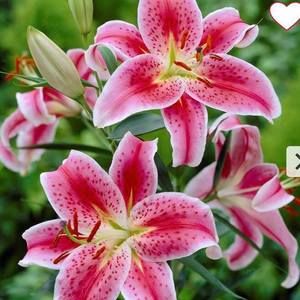 Meet your Posher, Jan